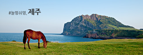 제주 바로가기